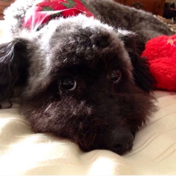 NOÂ LOWBALLING PLEASE - Picture 5 of 8